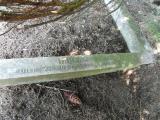 image of grave number 548674